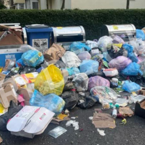 Clujenii se plâng de necurățenia locului de colectare a gunoiului