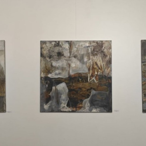 Vernisajul expoziției "Soil" al artistei Ana Dapovic la Arad
