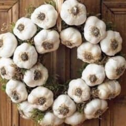 Fermierii din Buzău primesc ajutoare de stat în agricultură