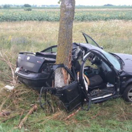 Accident rutier la Stulpicani: Sofer ranit dupa ce masina a lovit un copac