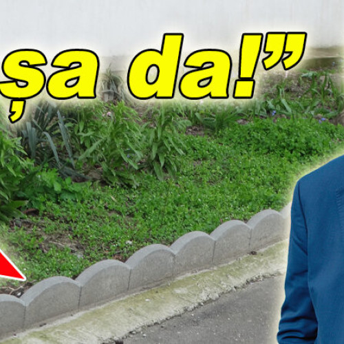 Primăria Buzău propune soluții pentru spațiile verzi