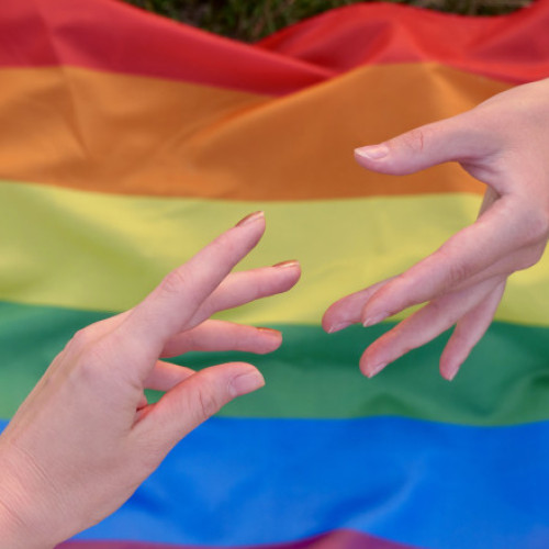 Ministrul danez al industriei cere un răspuns european la presiunea americană asupra diversității