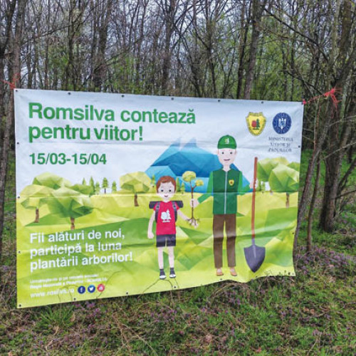 Ziua Jandarmeriei celebrată prin acțiuni ecologice în Prahova