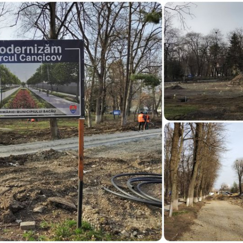 Primăria Bacău are contracte importante cu Garden Center Grup, implicată în controversă