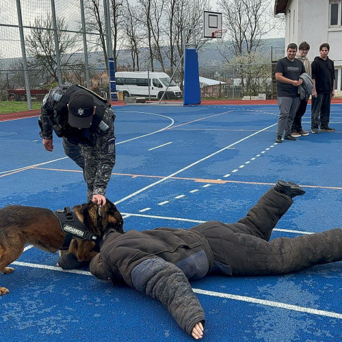 Aniversarea Jandarmeriei Române a început cu activități educative