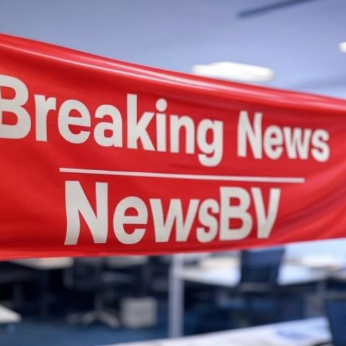 Cablu electric rupt în zona Ceasu Rau