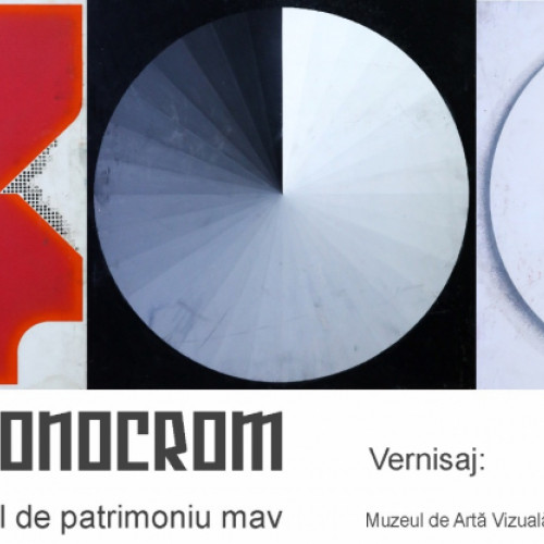 Muzeul de Artă Vizuală pregătește o expoziție monocromă