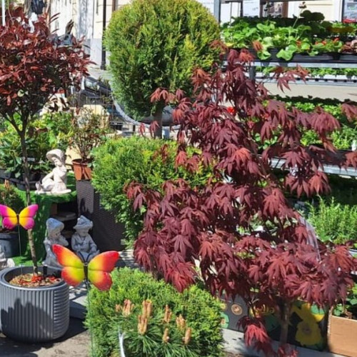 Expoziție de primăvară cu produse diverse