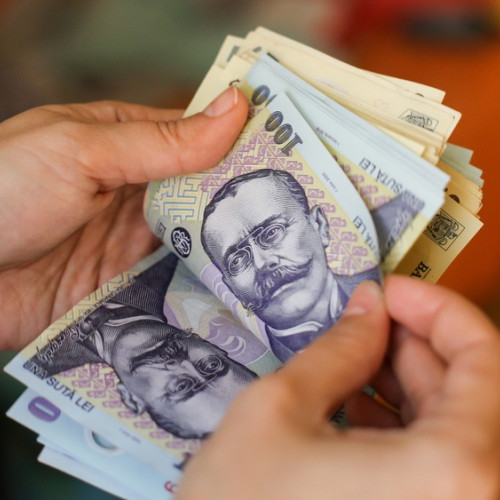 Tânăr din Bacău cercetat pentru înșelăciune și fals