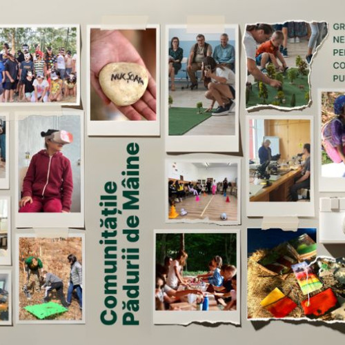 Fundatia Padurea de Maine lanseaza noi finantari pentru proiecte