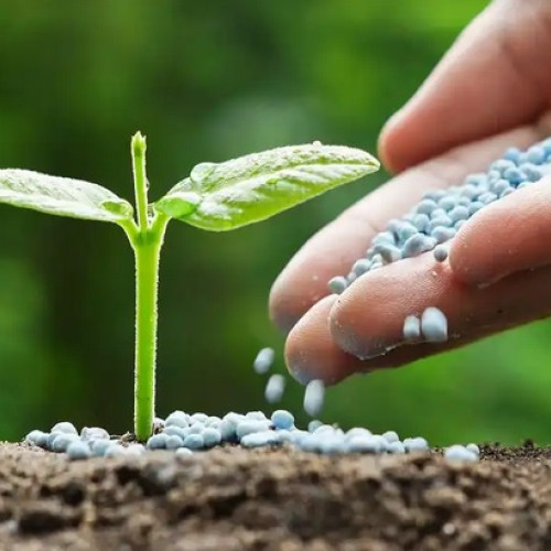 Controale la fitofarmaciile din Maramureș în cadrul Planului FITOS 2025