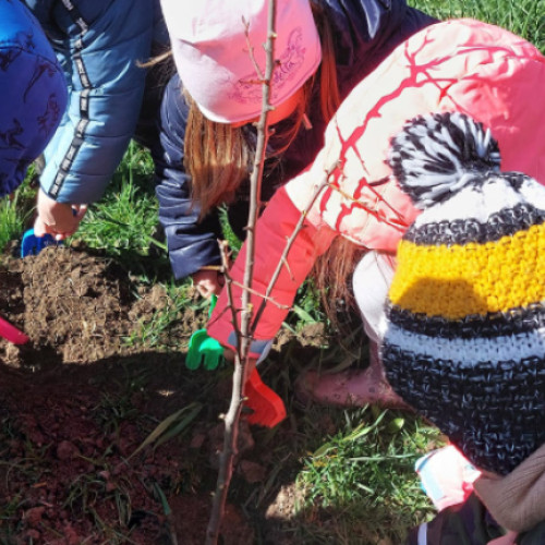 EcoSalvatorii revine în Cluj între 14 și 16 aprilie 2025