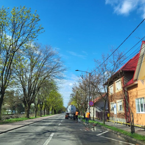 Primarul Gabriel Lazany anunță măsuri împotriva poleiului