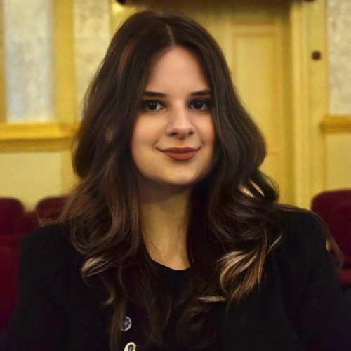 Doi elevi din Botoșani au obținut șapte calificări la olimpiadele școlare