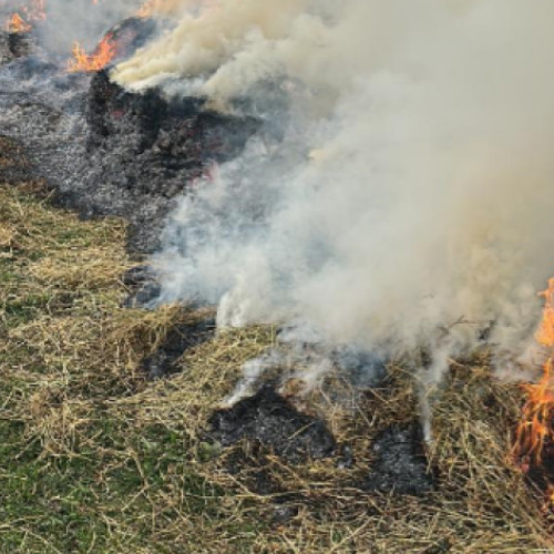 Incendiu stins de pompieri în Câmpia Turzii
