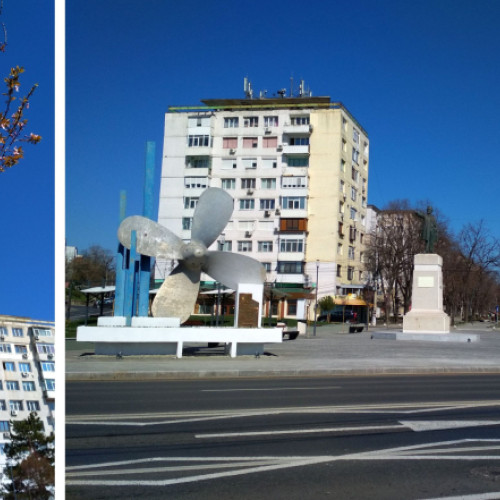 Corcodușii roșii din Parcul "Ion C. Brătianu" au înflorit timid