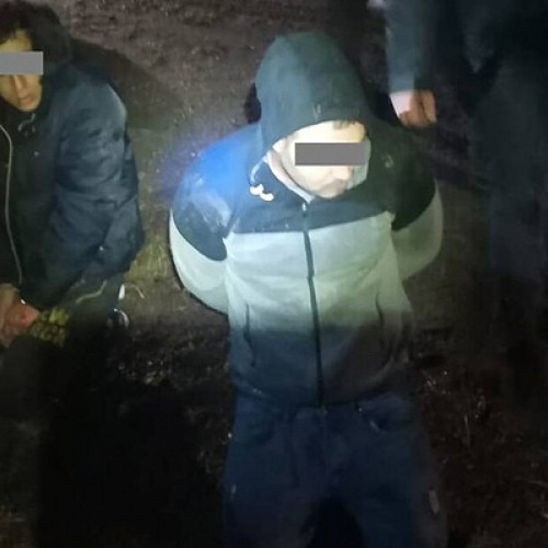 Poliția a prins doi tineri pentru furt dintr-o societate comercială