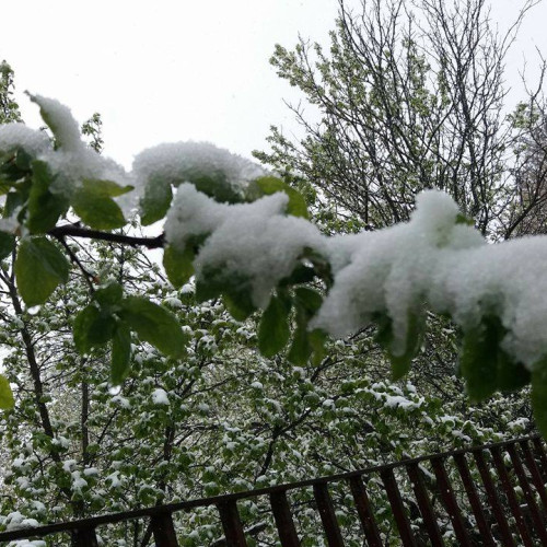 Schimbări bruște ale vremii în România: ploi și ninsori în weekend