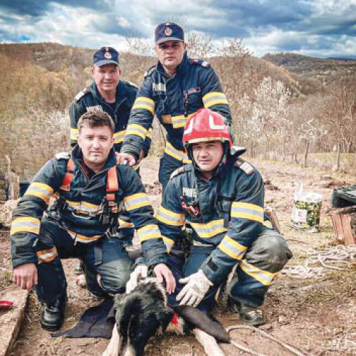 Informații despre F. T.