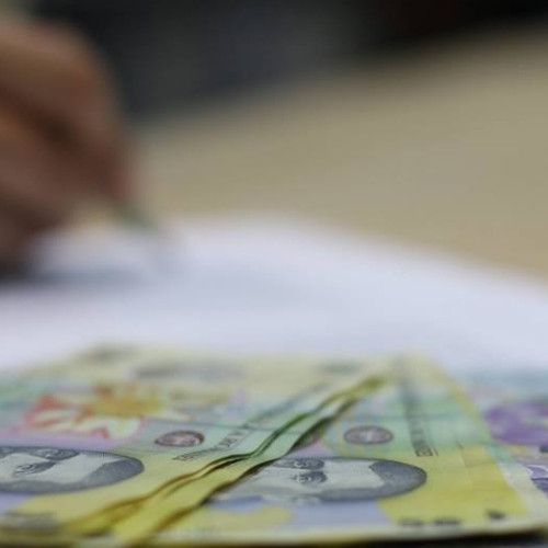 Guvernul aprobă ajutoare de urgență pentru familii afectate de diverse calamități