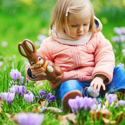 Prognoza meteo pentru perioada 7 aprilie - 5 mai 2025