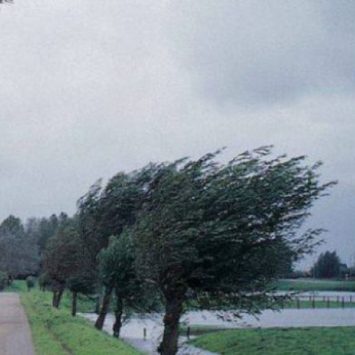 Avertizare meteorologică: Cod galben de vânt în județul Botoșani