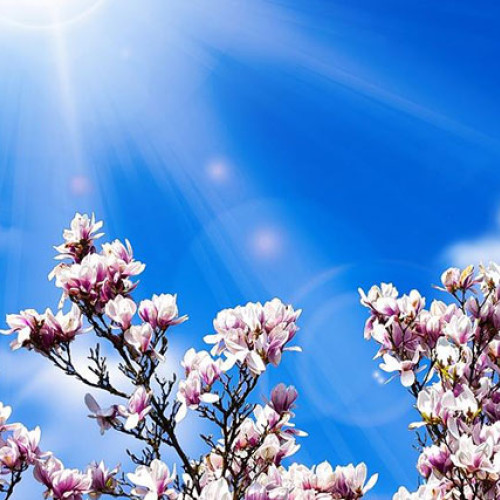 Prognoza meteo pentru perioada 7 aprilie - 5 mai 2025