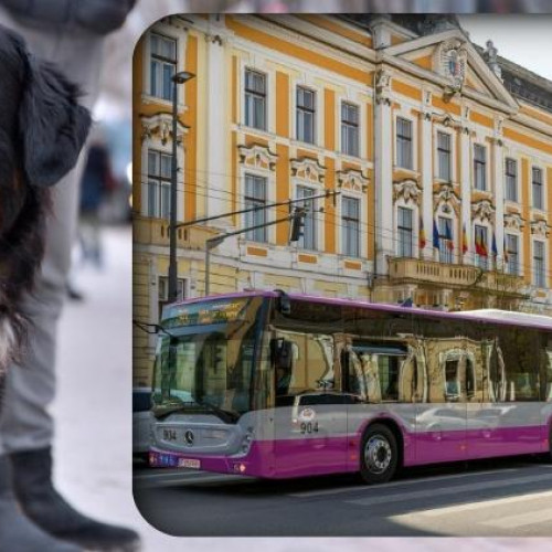 Clujenii doresc transport gratuit pentru animale de companie