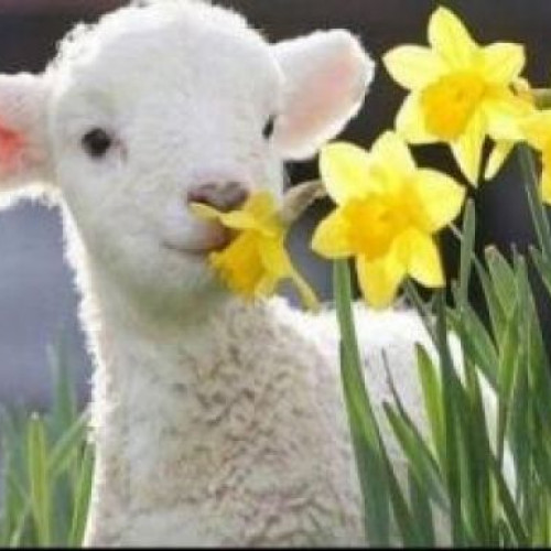 Prognoza meteo pentru perioada 7 aprilie - 5 mai