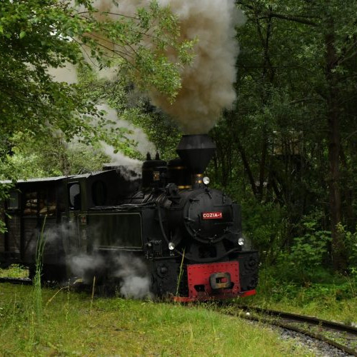 Mocănița din Maramureș își reia programul de vară