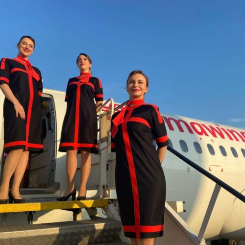 AnimaWings oferă reduceri de 50% pentru biletele de avion