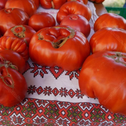 Sprijin financiar pentru agricultori în 2025