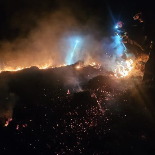 Incendiu de vegetație în localitatea Budești