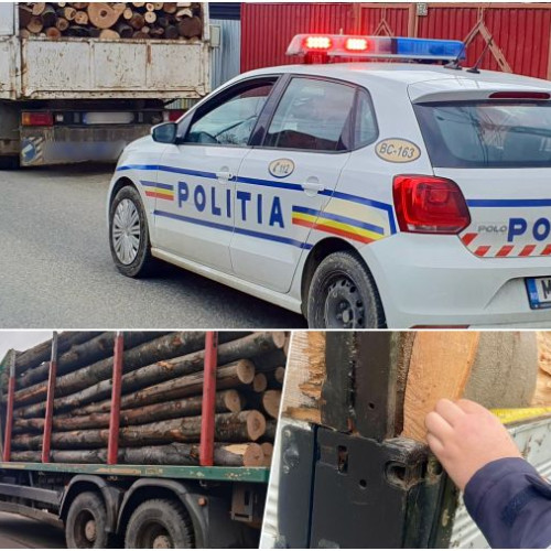 Acțiune a poliției în Bacău împotriva migrației ilegale și tăierilor ilegale de masă lemnoasă