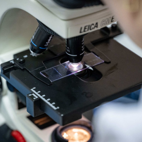 Europa recrutează cercetători americani de top