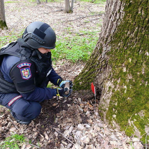 Descoperire periculoasă în pădurea din Baiceni