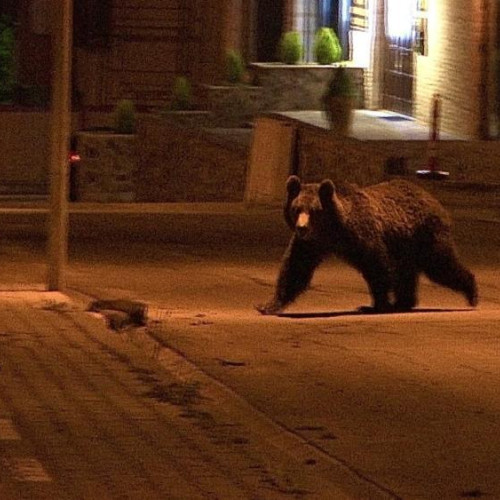 Avertizare RO-Alert pentru comuna Mintiu Gherlii