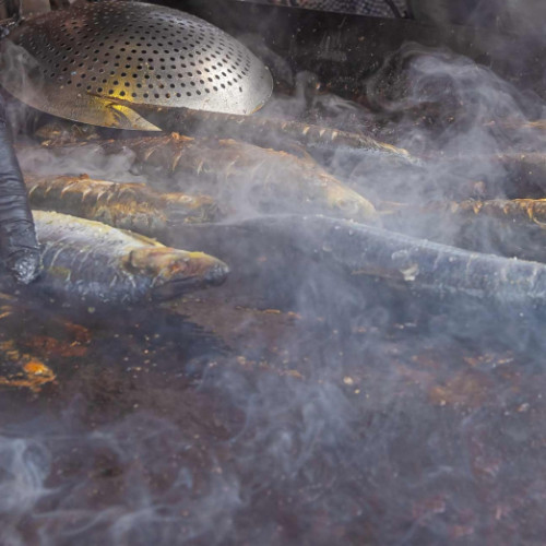 Festivalul Scrumbiei Dunarene, organizat de SC PAF Media SRL