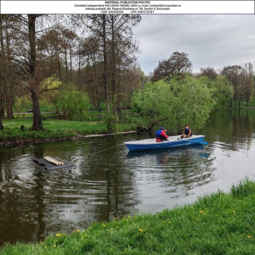 Prima pajiste urbana cu flori de camp salbatice in Bucuresti