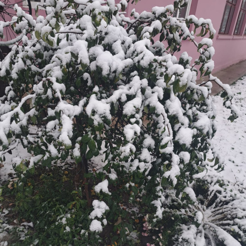 Cod galben de vânt puternic și ninsori în toată țara