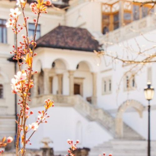 Evenimentul „Porți deschise la Palatul Cotroceni” anulat din cauza vremii