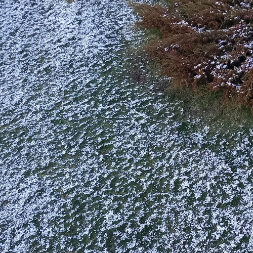 Temperaturi scăzute în Botoșani și în toată țara