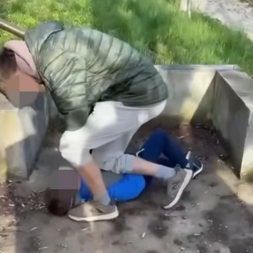 Imagini violente cu un copil bătut într-un parc din Stei