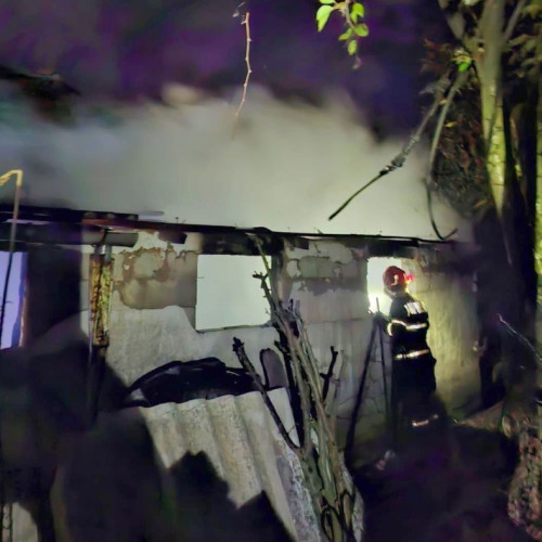 Pompierii din Arad au intervenit în peste 60 de situații de urgență în aprilie 2025