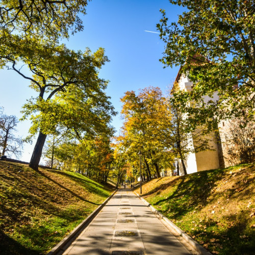 Primăria Sibiu lansează o nouă licitație pentru modernizarea Parcului Cetății