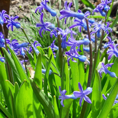 Prognoza meteo pentru Moldova între 7 și 20 aprilie