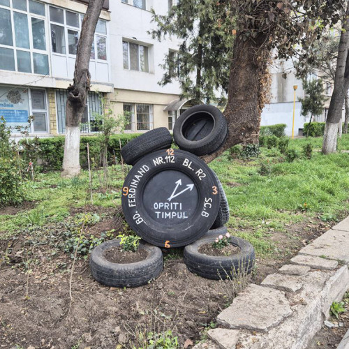 O oază de verdeață pe bulevardul Ferdinand din Constanța