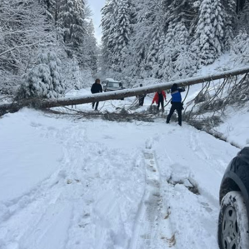 Jandarmii au intervenit pentru salvarea turiștilor blocați pe traseul de la Bistra Mica