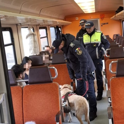 Acțiune a poliției pentru prevenirea faptelor antisociale în județul Botoșani