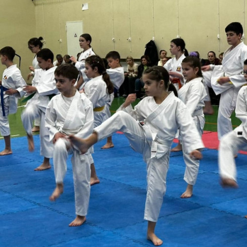 Turneul final al Campionatului Național de karate se desfășoară la Galați